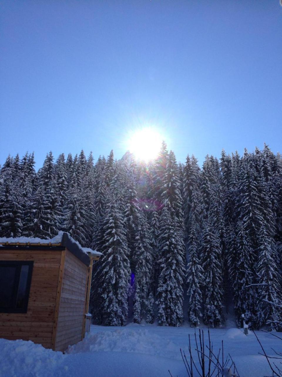 Eirl Dolomites Retreat Sappada Bed & Breakfast Bagian luar foto