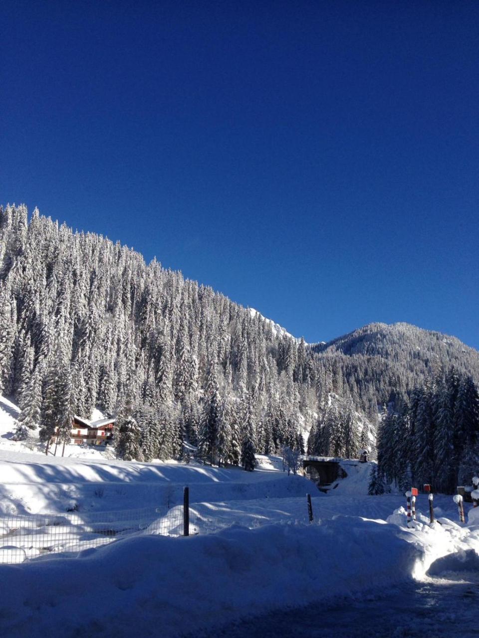 Eirl Dolomites Retreat Sappada Bed & Breakfast Bagian luar foto